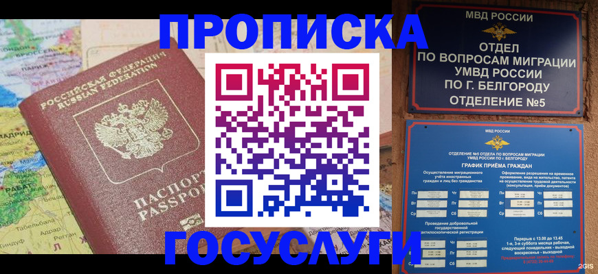 прописка регистрация в Куртамыше